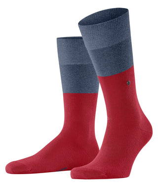 Socken Chester