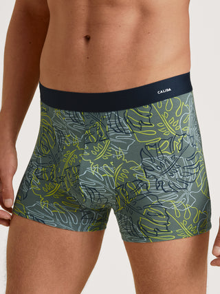 HERREN Boxer, laurel green